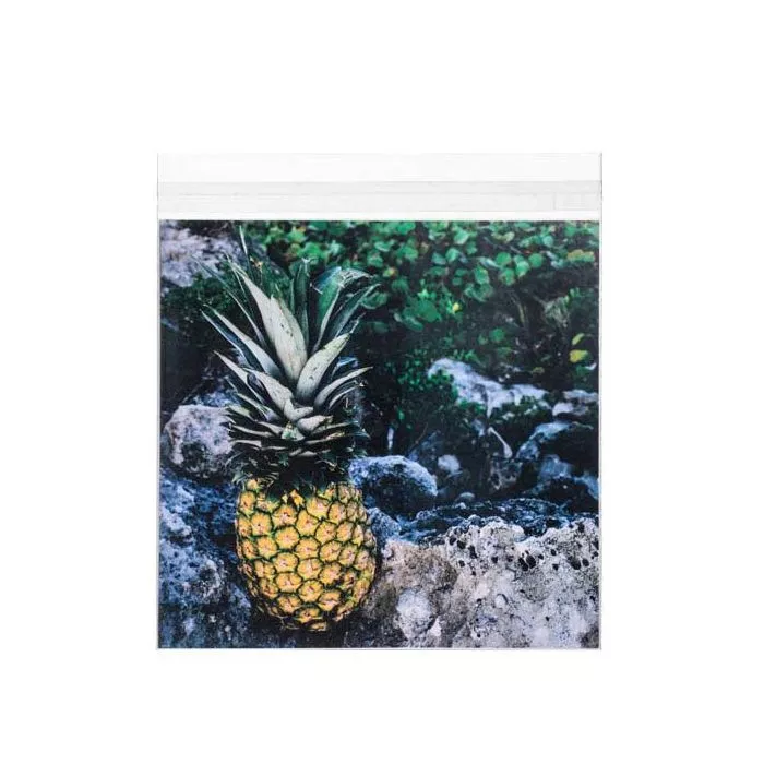 Crystal Clear Bags with Flap, 8 1/4" x 8 1/16" (100 Pieces)